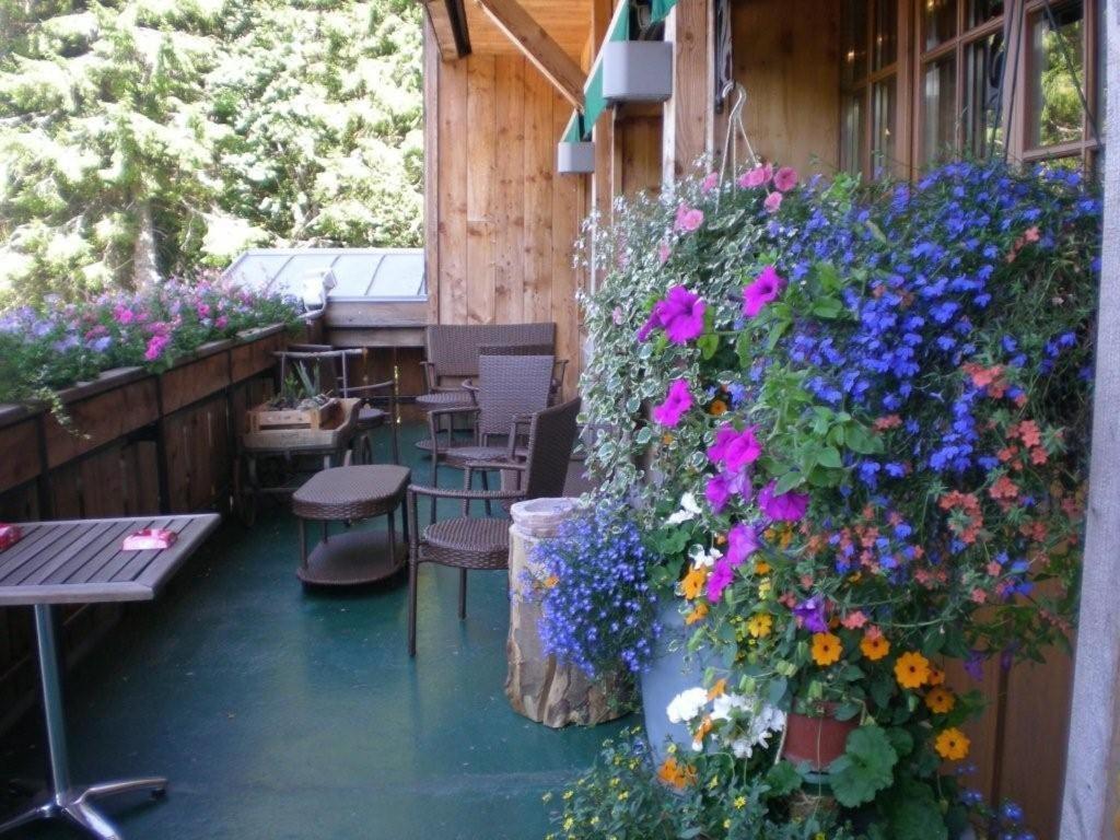 Chalet Hotel Le Collet Xonrupt-Longemer Εξωτερικό φωτογραφία